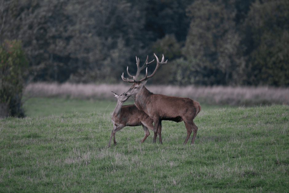Сергей Плыткевич и его фото 2.png