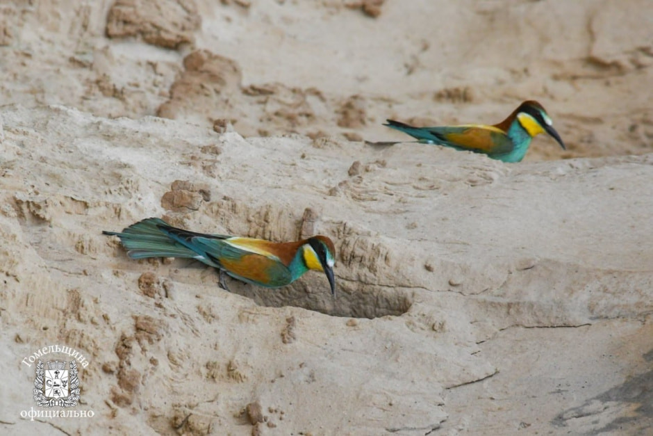 photo_2025-06-12_10-09-19 (2).jpg