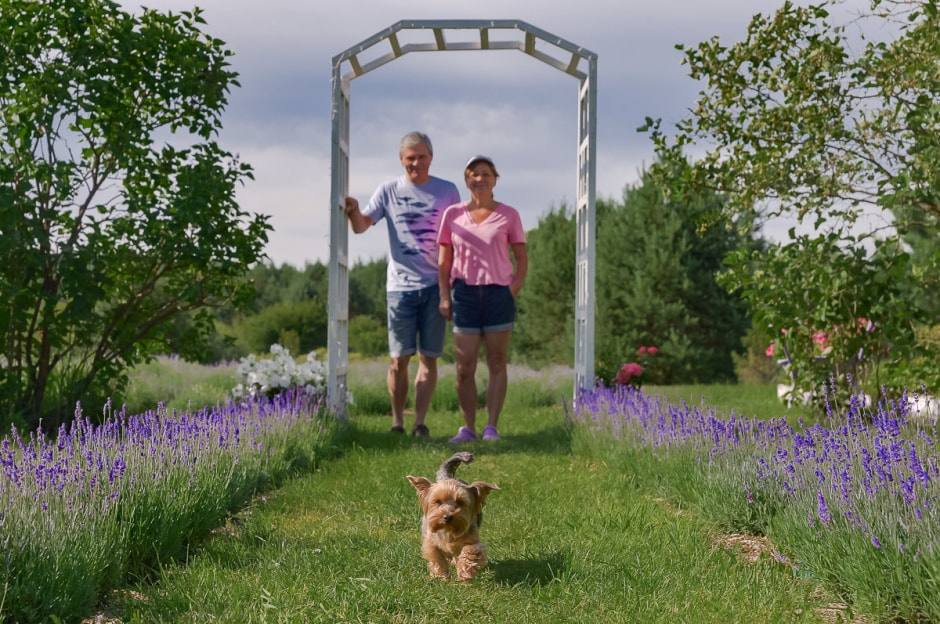 Лавандовый сад в Барово 12.jpg