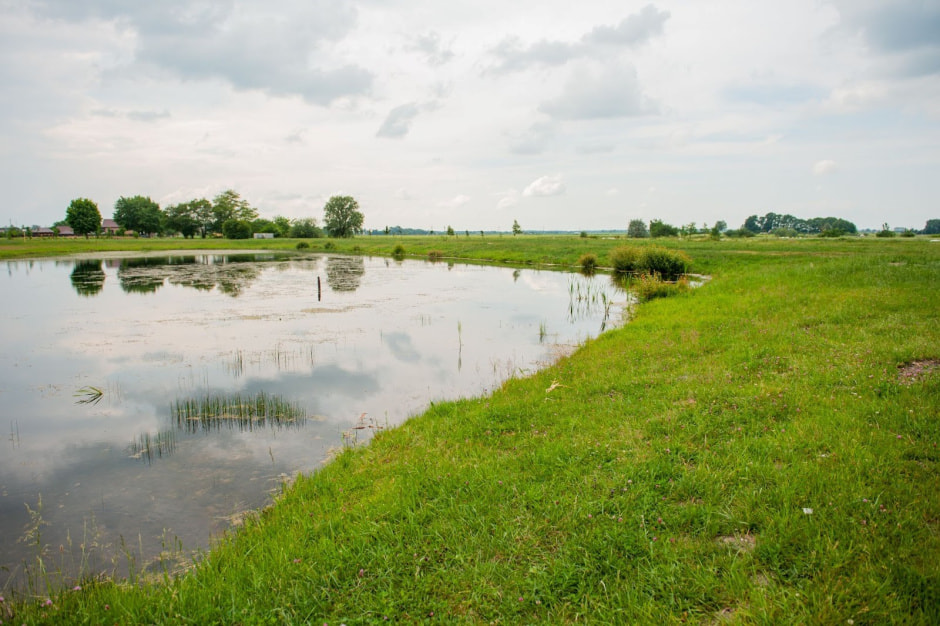 Рок-фестиваль Солнцестояние 2024 12.jpg