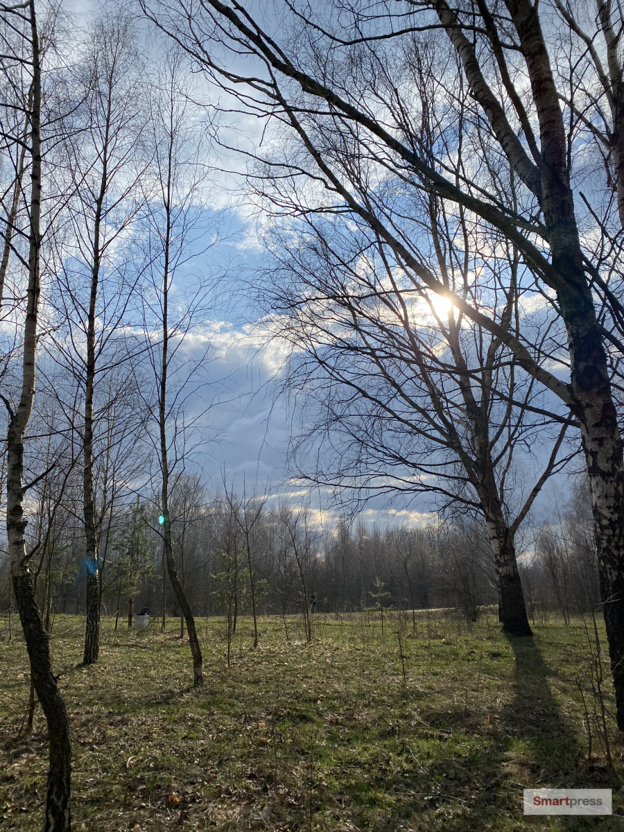 весна солнце парк прогулка.jpg