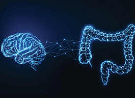 Как микробы кишечника могут влиять на интеллект? Ученые обнаружили интересную связь