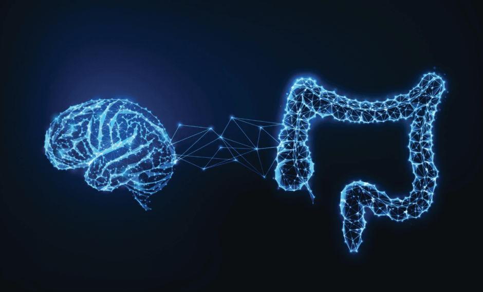 мозг и кишечник-связь