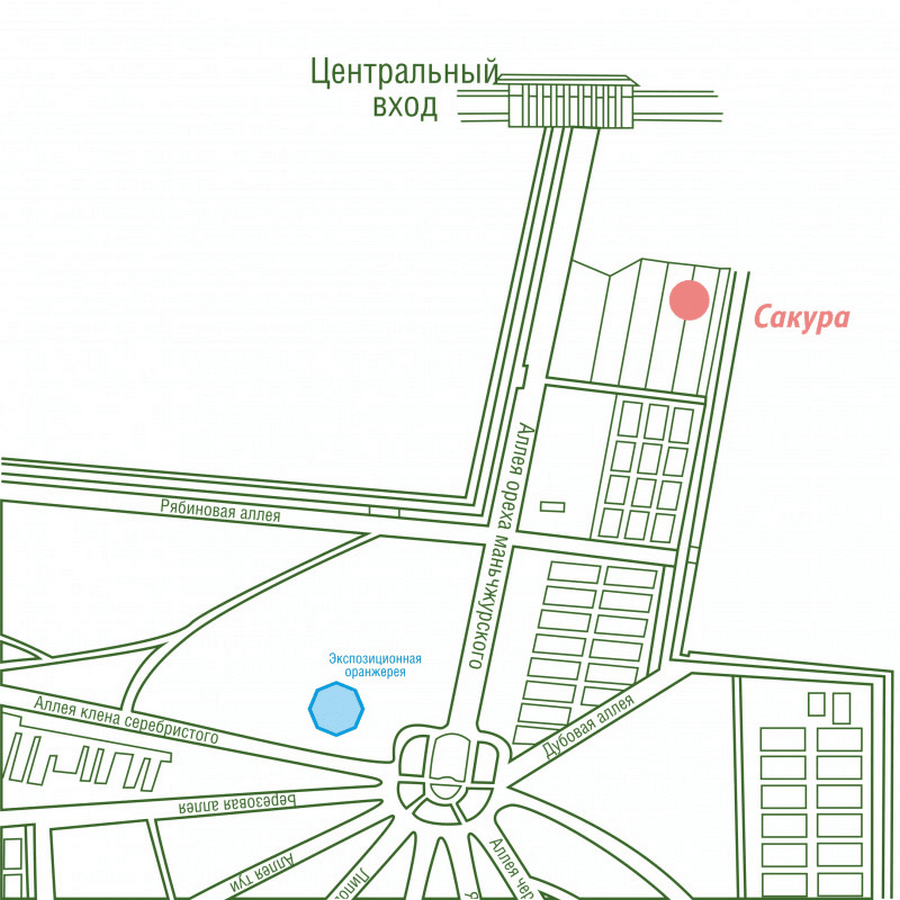 Прогулка по Ботаническому саду 20-2.png