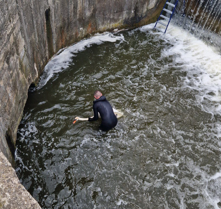 photo_2025-06-06_14-08-54 (2).jpg