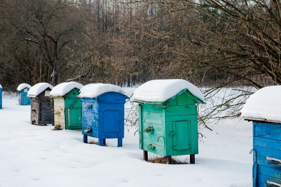 Хутор Замошье 24.jpg