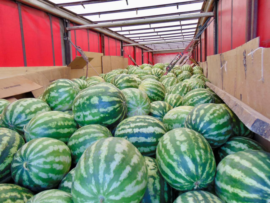 Арбузы.jpeg