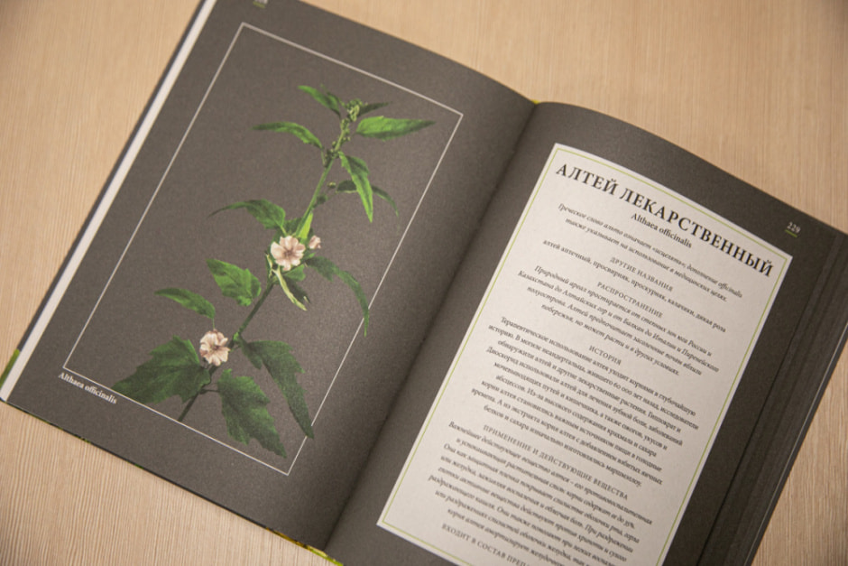 Борьба с простудой 7.jpg