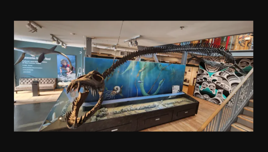 скелет дневней рептилии