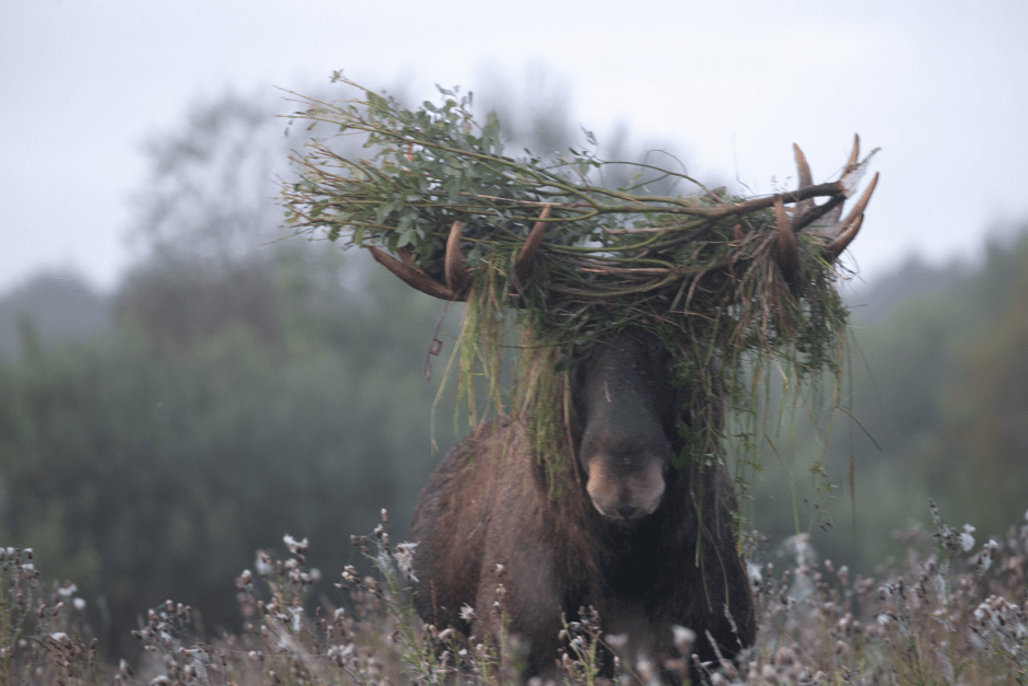 Сергей Плыткевич и его фото 8.png