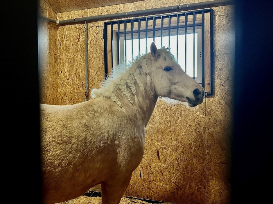 Экопарк Акварель 30.jpg