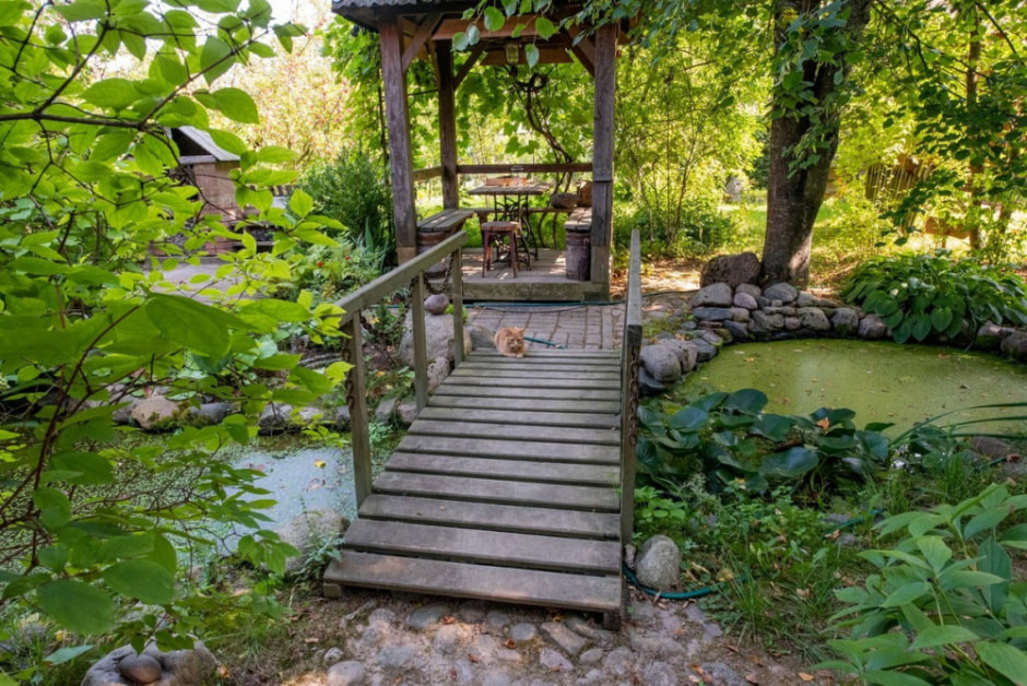 Художник Владимир Цвирко и его путешествия по Беларуси 15.jpg