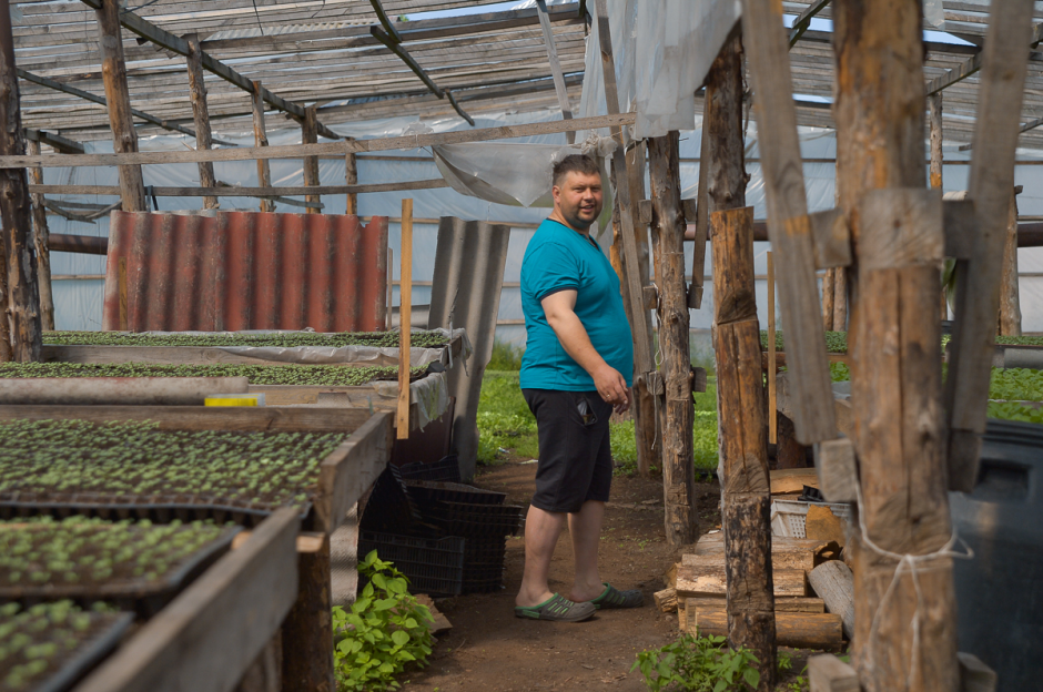 Две семьи выращивают огурцы и клубнику 4.png