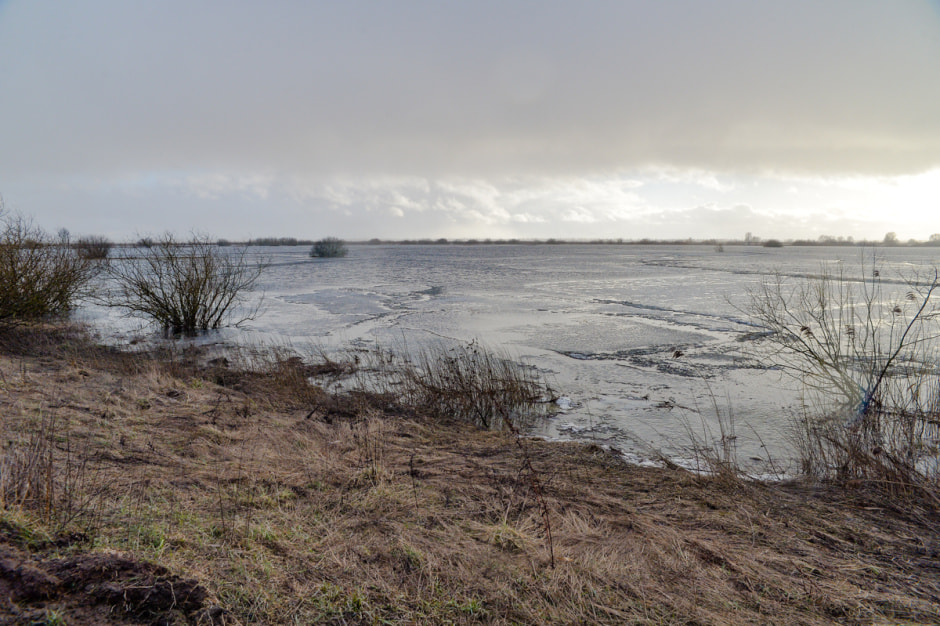 Деревня затопленная Припятью-84.JPG