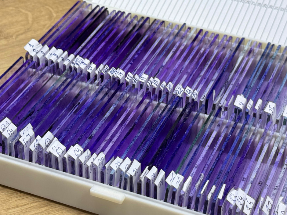 Стекла с материалами биопсии