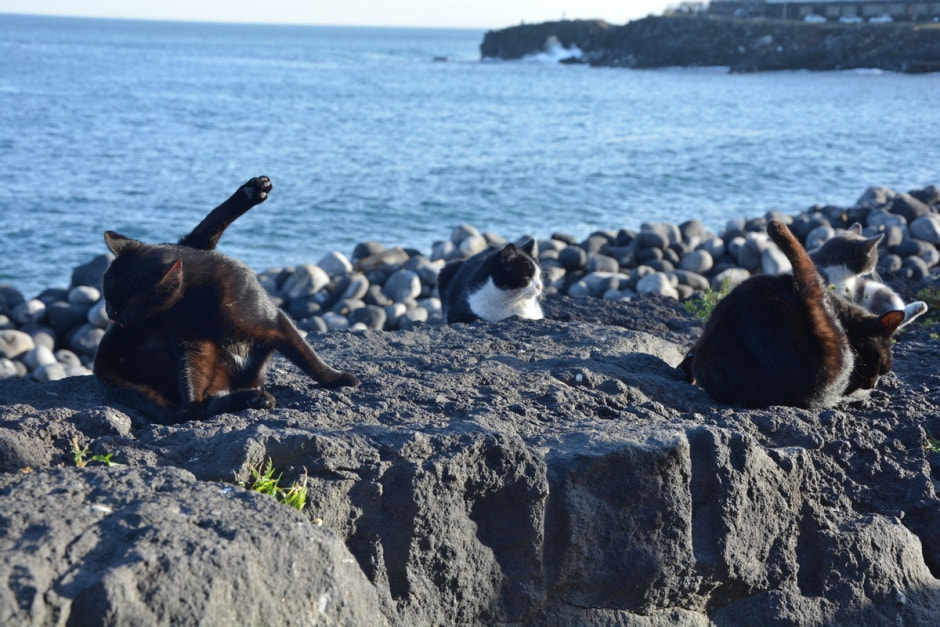 Неделя на Сицилии 12.JPG