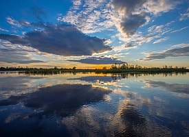 В “море Геродота” плавает рыба. Что с ней происходит, когда вода уходит?