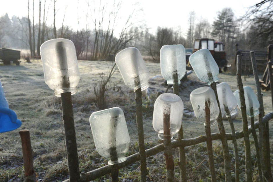 Семья восстановила старые рецепты сыров 3.jpg