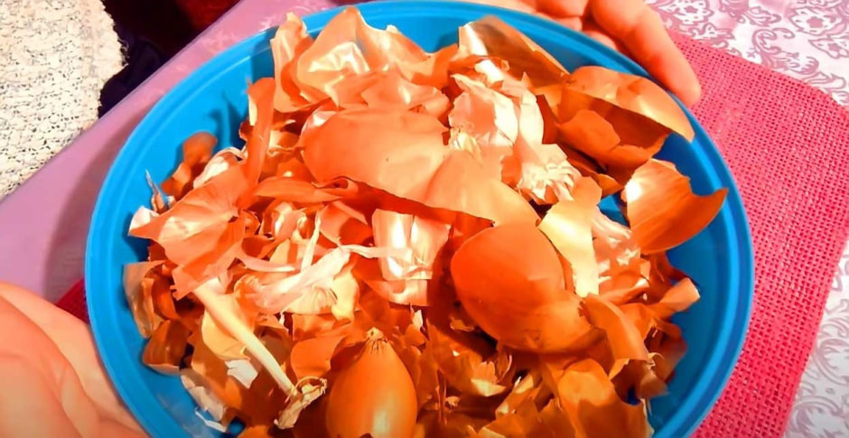 Лук в огороде