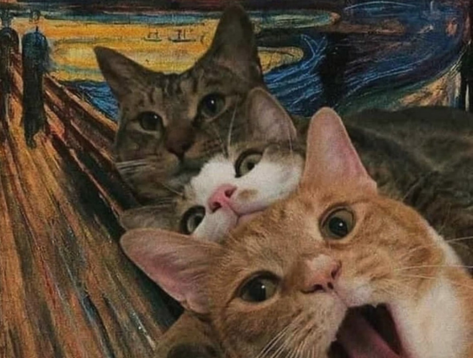 крик-коты.jpg