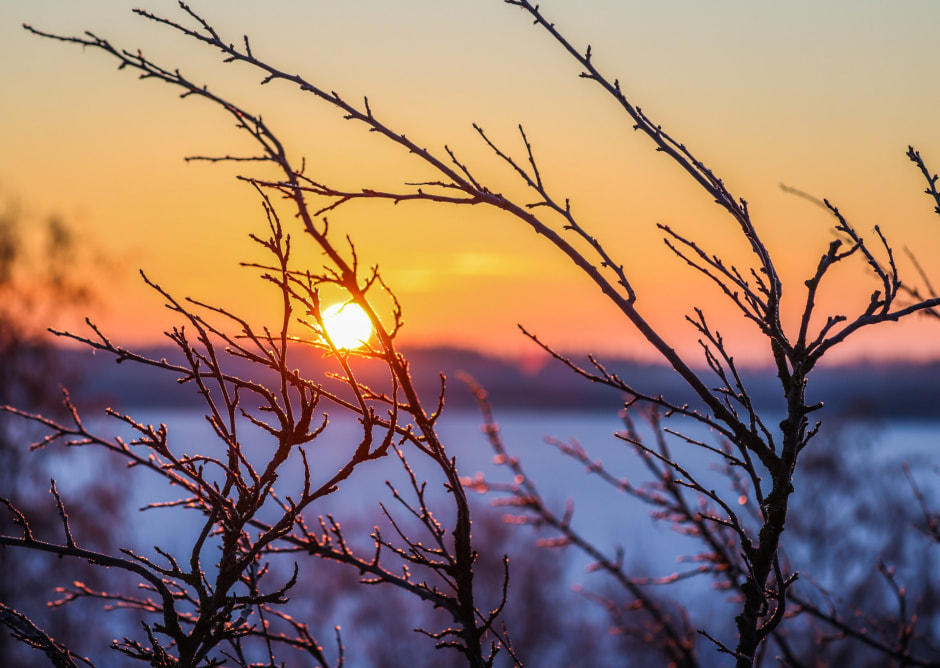 погода зима весна утро.jpg погода зима весна утро.jpg