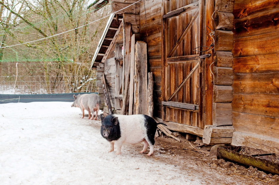 Хутор Замошье 15.jpg