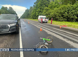 На Могилевщине водитель наехал на 6-летнюю девочку – она погибла