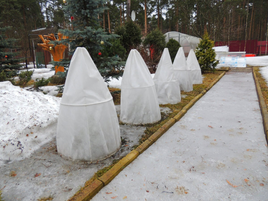 photo_2026-01-26_09-02-20 (3).jpg