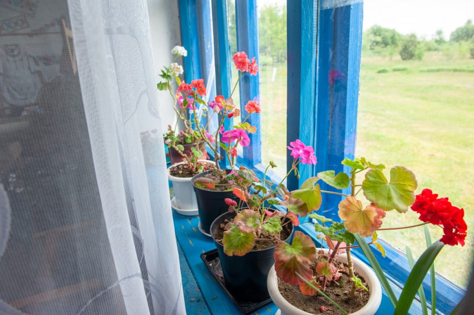 Ансамбль Стрэчанне из Гатово 24.jpg