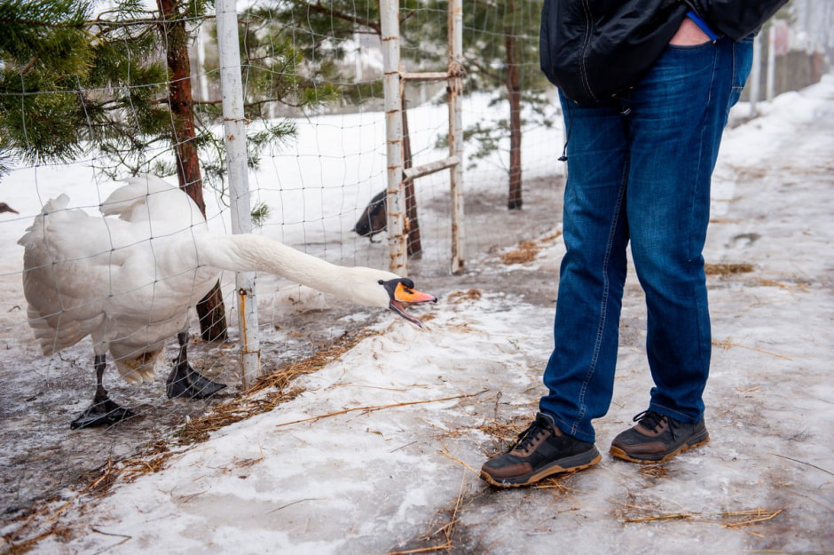 Юрий Карпилович и его зоопарк в Подгае 28.jpg