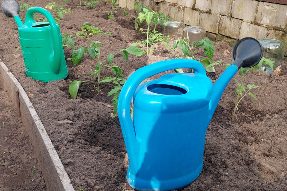 PSX_20240514_214952.jpg PSX_20240514_214952.jpg