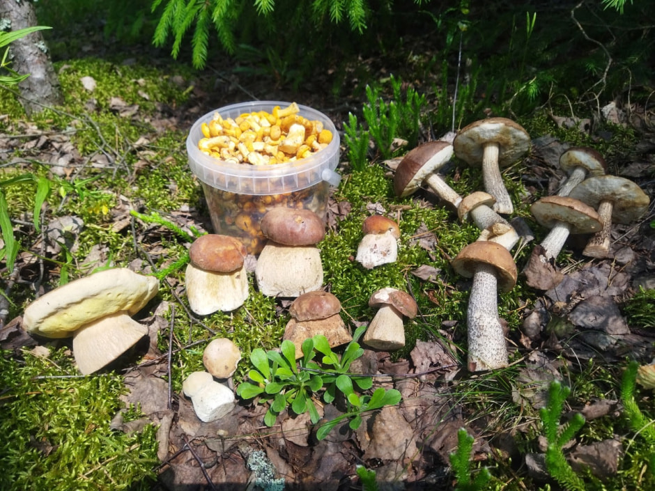 KtLV4g-juIk.jpg KtLV4g-juIk.jpg