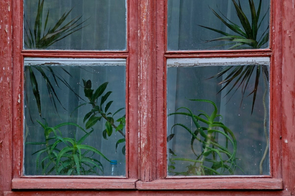 Репортаж из минской Осмоловки 7.jpg