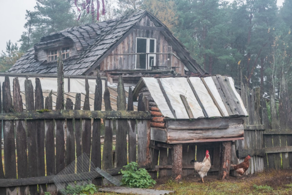 Минчанин переехал на остров в деревню 23.jpg