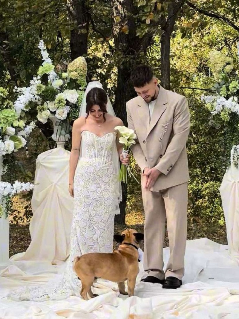 бельдог вынес кольца.jpg