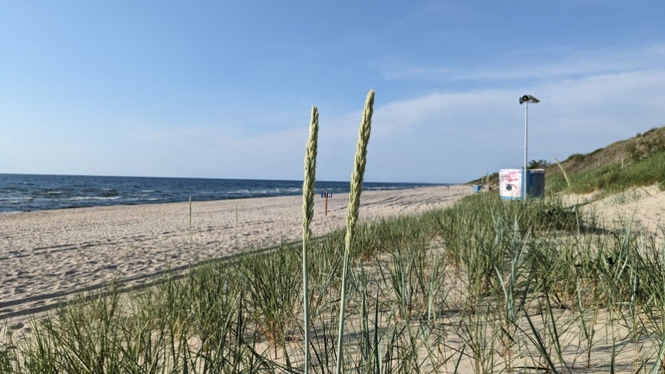 нудистский пляж литва.png