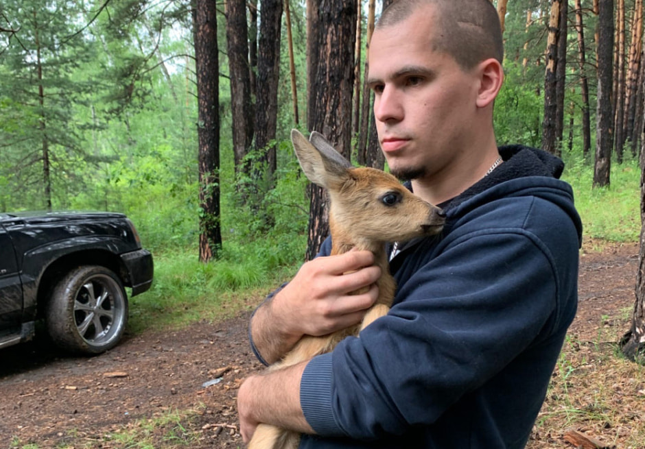 Помощь диким животным.jpg