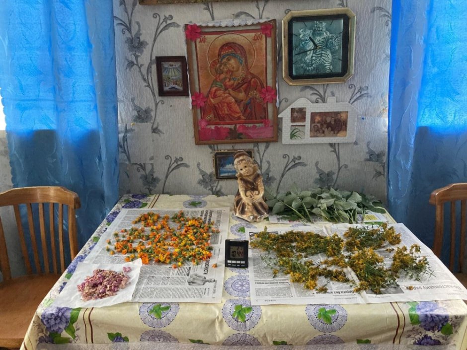 Траволечение в Беларуси 2.jpg