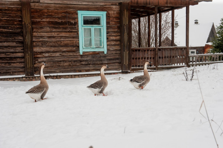 Туристическая деревня Белые луга 25.jpg