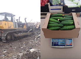 Россельхознадзор уничтожил 500 кг фруктов и овощей, которые везли из Беларуси