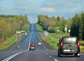 “Уже слышны крики” – Белорусских водителей призвали помогать переходить дорогу этим “пешеходам” и снижать скорость