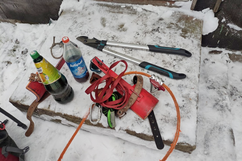 Зимняя обрезка деревьев с арбористом 7.png