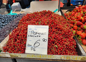 Голубика уже по 20 рублей за 1 кг, черешня за 7. Цены на Комаровке в начале июля?