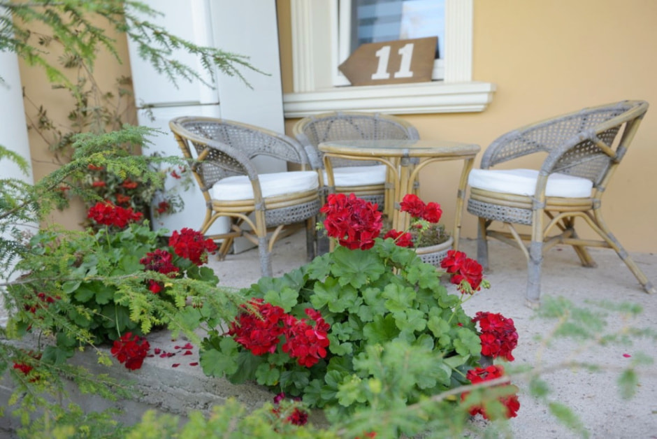 Семья Шатровых и их сыры 8.jpg