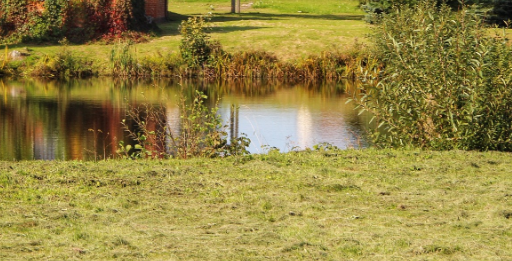 Двухлетний ребенок утонул во дворе частного дома под Мяделем.png