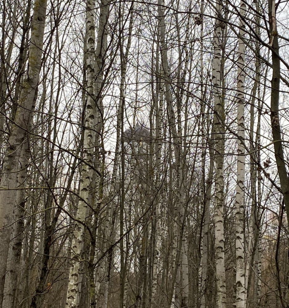 погода.jpg погода.jpg