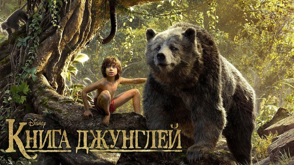 книга.jpg