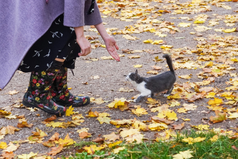 Как минчане переехали в деревню Вигушки 30.jpg