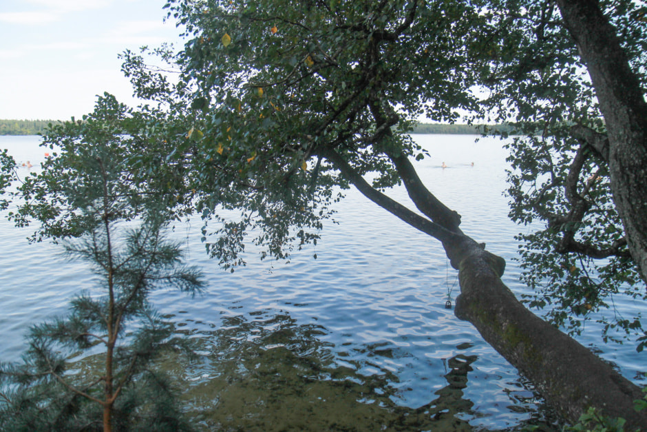 Свіцязь11-2.jpg Свіцязь11-2.jpg