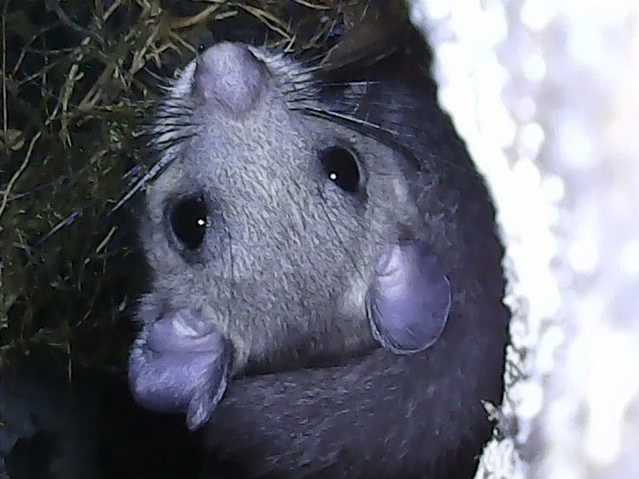 Экспедиция сони 16.jpg